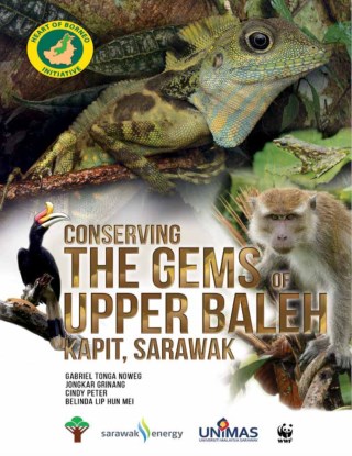 Conserving The Gems of Upper Baleh, Kapit Sarawak