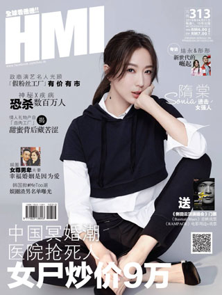 HMI 313