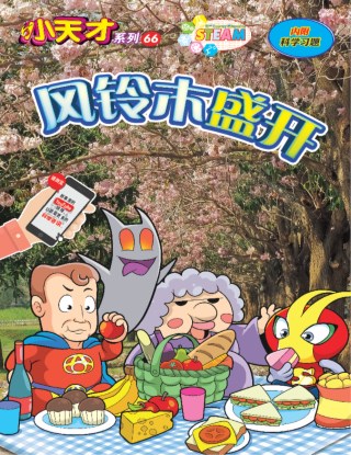 小天才 第66期：风铃木盛开