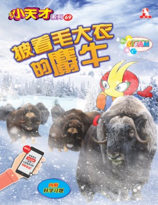 小天才 第69期：披着毛大衣的麝牛