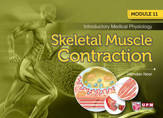 Module 11 Introductory Medical Physiology:  Skeletal Muscle Contraction